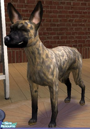 Sims 2 — African wild dog. by Griffinsong — A breed based on my Sims rendition of a cape hunting dog/african wild dog
