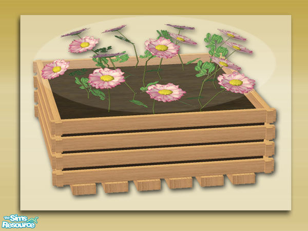 Sims 2 — Summer Days:Square Planter-Flower02 by Shakeshaft — Part of a recolour of my Summer Days Patio Set, in a Light