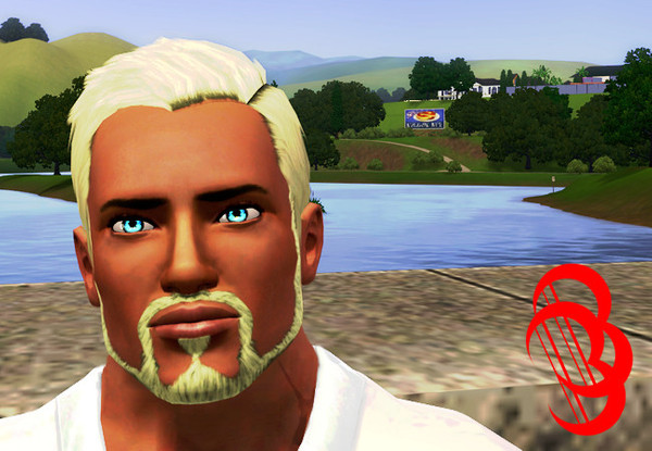 Sims 3 — Thin Chin Strap by grunt_no1 — A thinner more refined beard