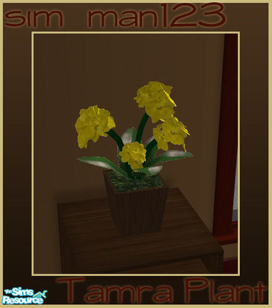 Sims 2 — Tamra Plant by sim_man123 — New plant mesh, part of my Tamra Bedroom.