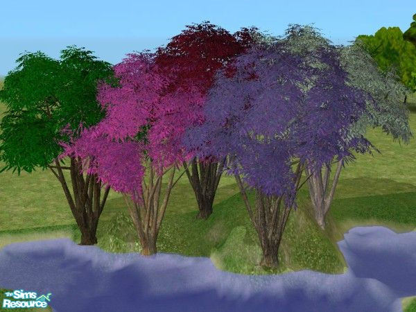 Sims 2 — Bay tree Recolors by minsmusic — 5 bay tree recolours: red, pink, bluegrey, lavender, lush green; different bark