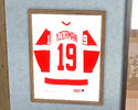 Sims 3 — Detroit Red Wings Jersey by jwrjr26 — This is a recolor of a painting. The jersey is Detroit Red Wings hero,