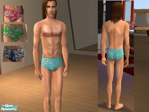 Sims 2 — Hawaiian Male Swimsuits by LadyDeluxe — Want to impress the sim girls? This speedo with hawaiian print will do