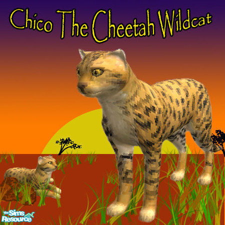 Sims 2 — Chico the Cheetah wildcat by spudmint — Chico, the linford christie of the animal world. Shes the best hunter of