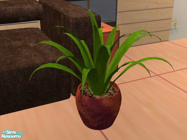 Sims 2 — Dark Bark - Palm Plant by SimanthaRat — as shown