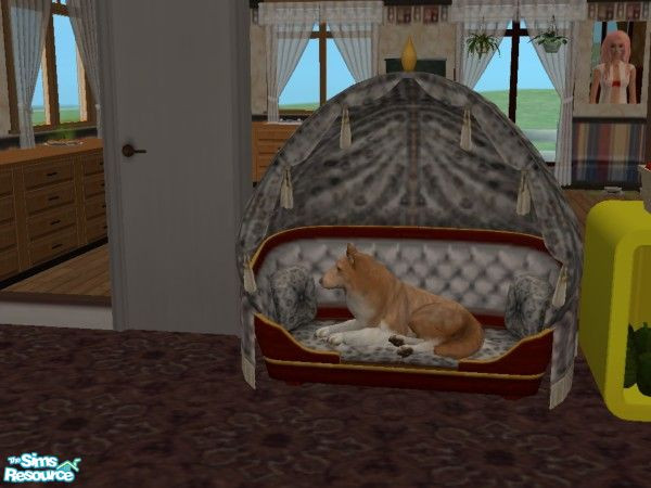 Sims 2 — Bretzel the coley by sophiebelanger — this is my first pet i made myself! this is Bretzel, a joyful and