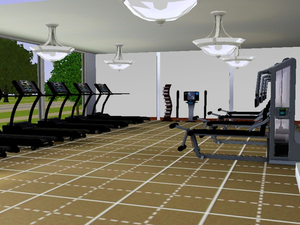 Sims 3 — Middlehope Wellness Centre by Maysongbird — A n old Georgian house was turned into a gym, another criminal