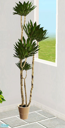 Sims 2 — Upstairs - plant by steffor — 