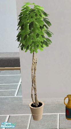 Sims 2 — Upstairs - plant scratching post by steffor — 