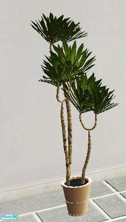 Sims 2 — Upstairs - plant by steffor — 