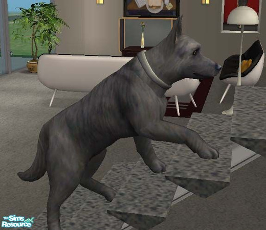Sims 2 — Black German Shepherd Dog by Freelance_Wolf — The black version of my black and tan German Shepherd Dog. To make