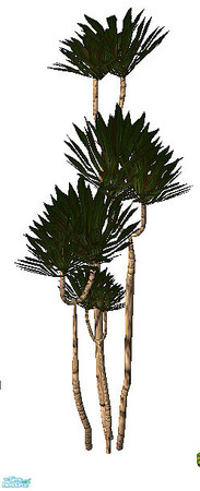 Sims 2 — Agnes - plant by steffor — 