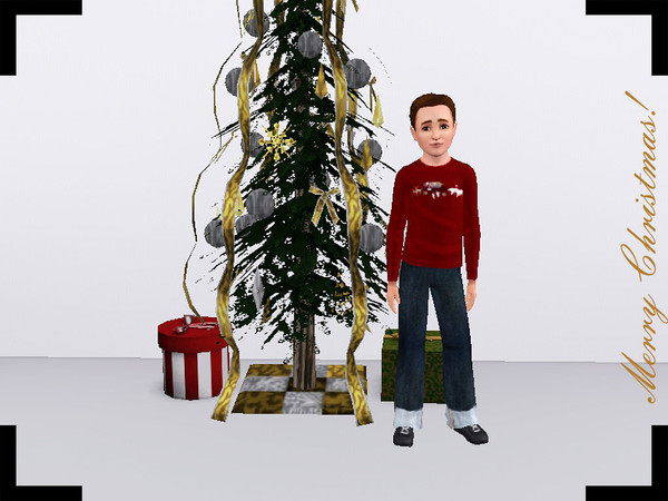 Sims 3 — punie_mctop_050 by punie — 