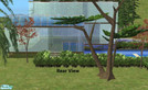 Sims 2 — Glass House by djtoxicity — This beautiful glass house is perfect for your sims. Whether they love nature, or