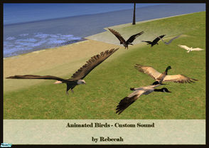 Sims 2 — Animated Birds - Custom Sounds by rebecah — Animated birds also include custom sound. Option to turn off sound