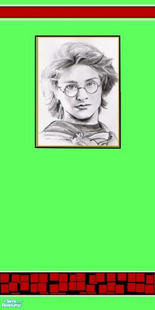Sims 2 — Harry Potter by StroupkovaZ — Green paiting with picture Harry