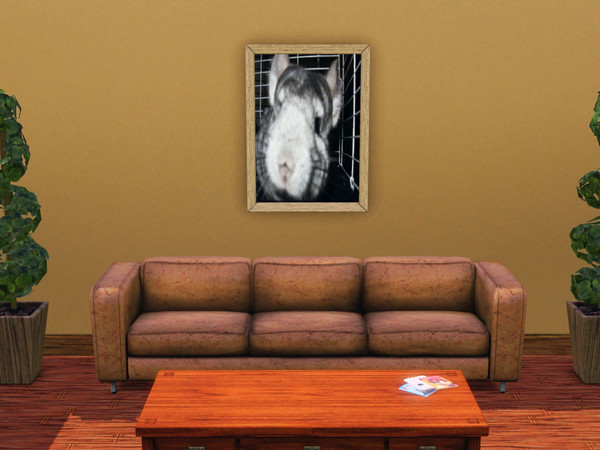 Sims 3 — Mayu by Ayafox — My Cute little chinchilla!