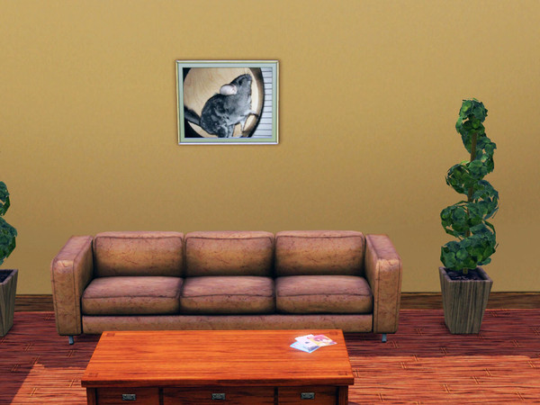 Sims 3 — Mayu 2 by Ayafox — My cute little chinchilla!