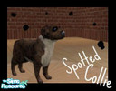 Sims 2 — Lozzys canines - spotted collie by lozzylove — i hope you all enjoy this small dog :) this is based on my own