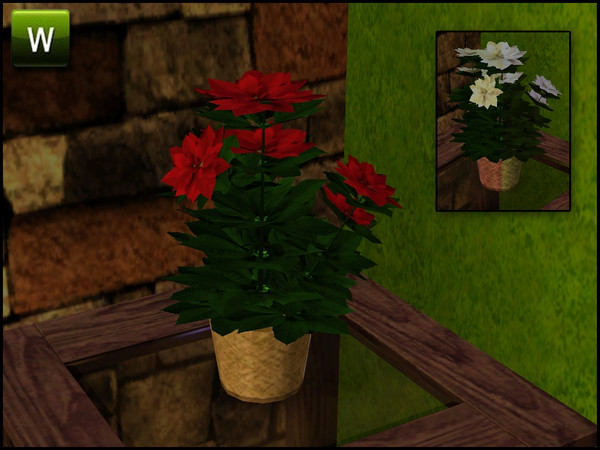 Sims 3 — Small Poinsettia by sim_man123 — Small Poinsettia, made by sim_man123 from TSR. TSRAA.