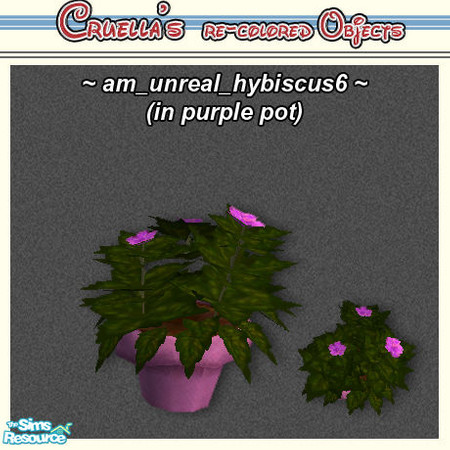 Sims 2 — am_UnrealHybiscus - Am Unreal Hybiscus6 by Cruella — Purple blossomed hybiscus with a mix-n-match violet pot.
