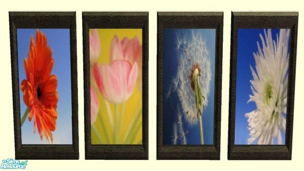 Sims 2 — D2DFour Frames - Flowers by D2Diamond — Beautiful flowers. Don\'t forget the mesh, Four Houses.