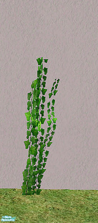Sims 2 — Vintage - plant ivy by steffor — 