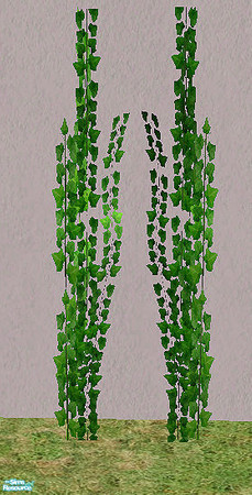 Sims 2 — Vintage - plant ivy by steffor — 