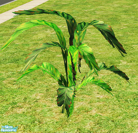 Sims 2 — Vintage - plant by steffor — 
