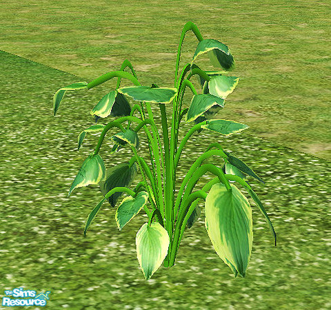 Sims 2 — Vintage - plant by steffor — 