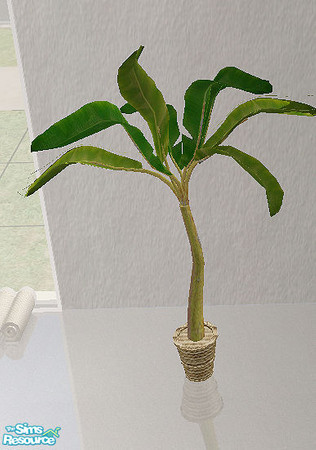 Sims 2 — lagrotta - plant by steffor — 