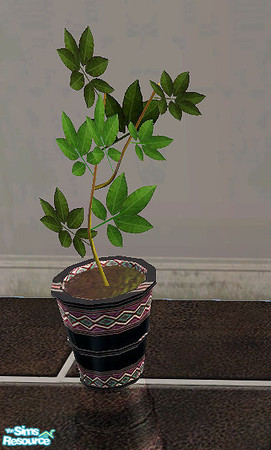 Sims 2 — Uhvalentina - plant by steffor — 