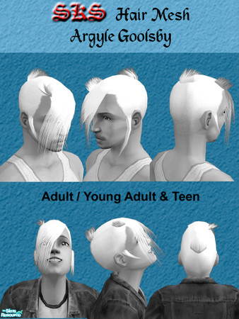 Sims 2 — Mesh for the Argyle Goolsby Hair Set by 71robert13 — Modeled after Argyle Goolsby\'s (from BlitzKid) hair style,
