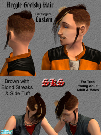 Sims 2 — Argyle Goolsby Hair - Streaked Set - Brown / Blond by 71robert13 — Modeled after Argyle Goolsby\'s (from