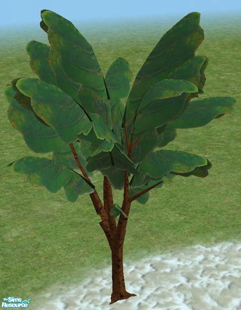 Sims 2 — Exotic Trees 4 - Recolors of 3 - Large by TheNinthWave — Recolor of exotic tree 3 large.