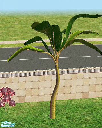 Sims 2 — Plants - plant by steffor — 