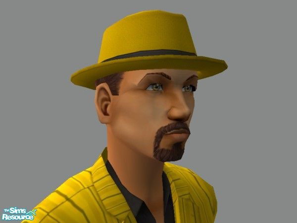 Sims 2 — Zoot Hat in Yellow  w Brown hair by tamlfra — Have a few flamboyant sims? Well, with this hat, they can let