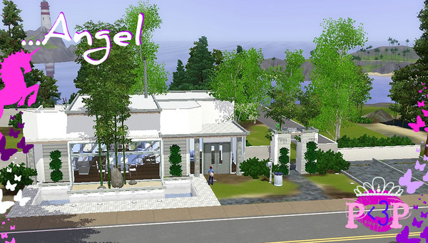Sims 3 — Angel by Pink3_Princess — Angel includes 1 bed, 1 bath, 1 kitchen, dinning area, deck, patio, BBQ area, parking,