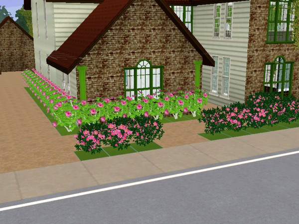 Sims 3 — 156 Pine St. by Alicia_Bridges — 156 Pine St. is a fully furnished 3 bedroom 3 bath home. Home has a office,