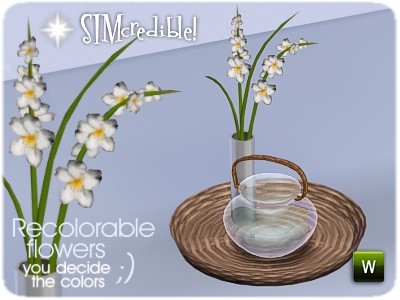 The Sims Resource - SIMcredible Apreciatta Tray