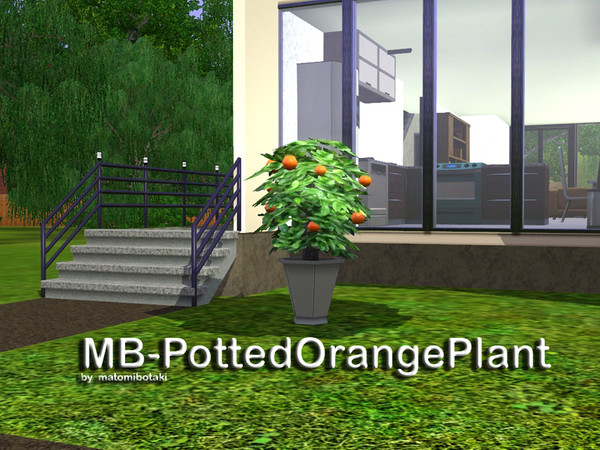 Sims 3 — MB-PottedOrangePlant by matomibotaki — MB-PottedOrangePlant, bigger and larger new mesh by matomibotaki.