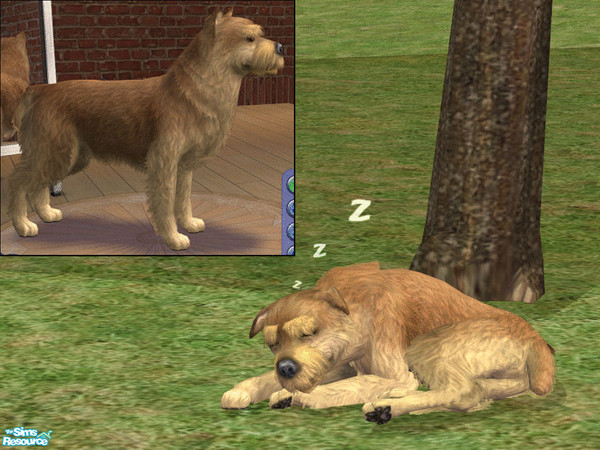 Sims 2 —  by dj_une — 