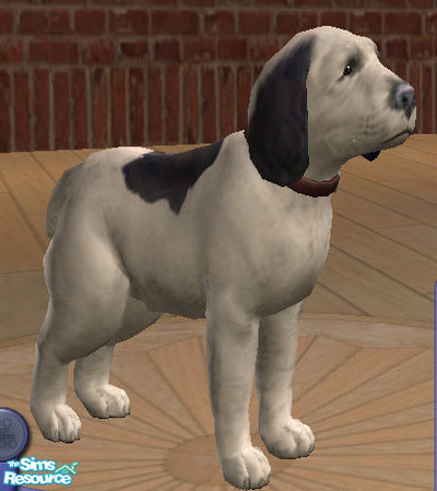 Sims 2 — Snoopy by lizholsimer — A dog modeled after the cartoon character, Snoopy.