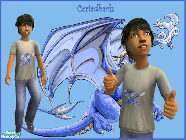 Sims 2 — Dragons - Grey T shirt by cariadbach — Easy wear T shirt with co-ordinating jeans and trainers. A set of three ,