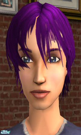 Sims 2 — Purple Fusion Hair - Female by lizholsimer — Purple colored hair for your female Sims.