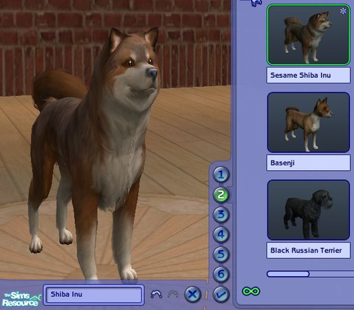 Sims 2 — Sesame Shiba Inu by balletbabe2 — This is a more realistic looking Shiba Inu than the one provided in the Pets