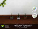 Sims 3 — Indoor Plant - Flowers by essential_rob2 — This is an indoor plant to decorate any homes or public building.