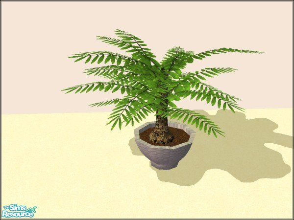 Sims 2 — Tropical Patio - White Wicker Recolor - Palm by sims4me — A white wicker recolor of sim_man123\'s Tropical Patio