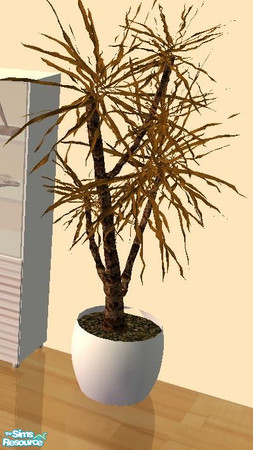 Sims 2 — OFFICE1 - Office1 Plant by archys creations — FOR THE MESH DOWNLOAD THE 5. ITEM