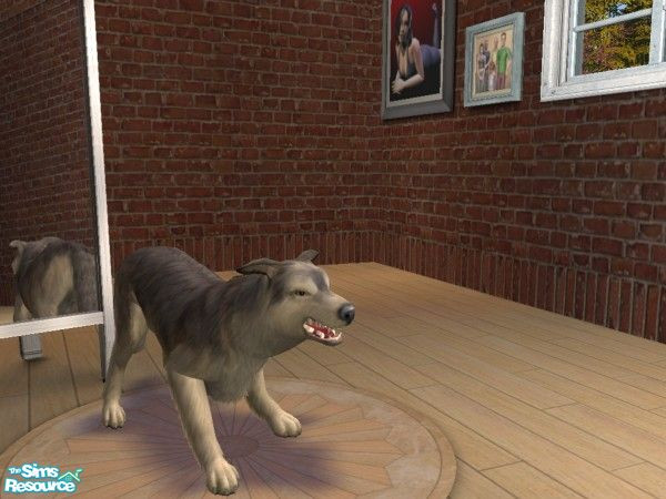 Sims 2 — European Wolf by beretta92 —  